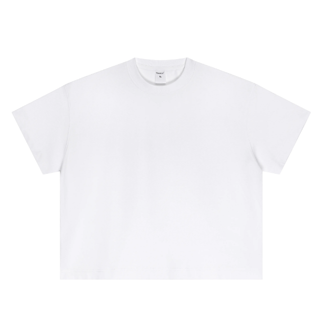 Blank 260 gramos 100% Algodón Oversize